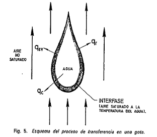 Procesos en una gota de agua
